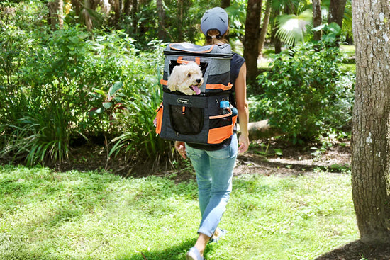 Ibiyaya Two-tier Hiking Pet Backpack