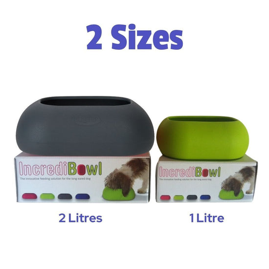 Buster IncrediBowl Wet and Dry Food Bowl for Long Eared Dogs - Green