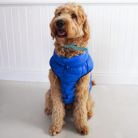 Dan & Sam Dog Reversible Puffer Jacket – Blue/Black