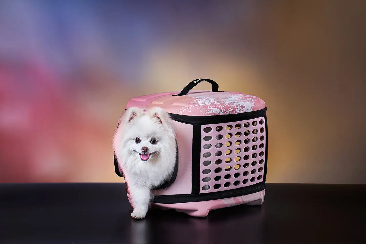 Ibiyaya Collapsible Traveling Pet Hand Carrier - Pink Sunset