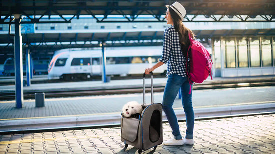 Ibiyaya Liso Backpack Parallel Transport Pet Trolley - Slate/Sapphire