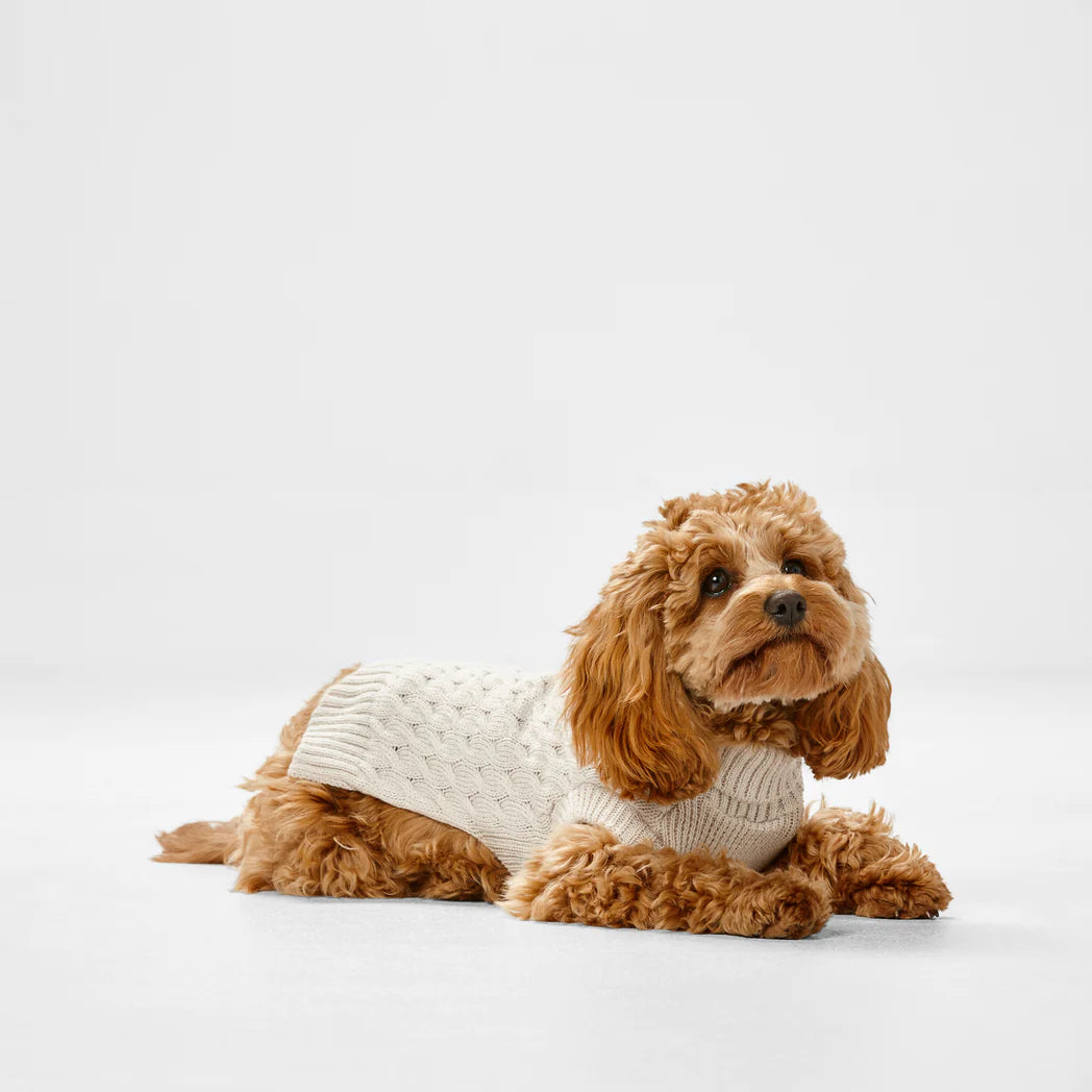 Snooza – Polo Knit Sweater – Oatmeal