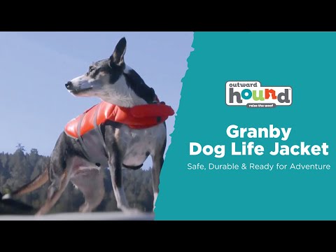 Load and play video in Gallery viewer, Outward Hound Dog &amp;quot;Granby Splash&amp;quot; Life Jacket
