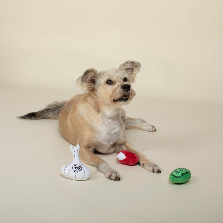 Fringe Studio Veggies Plush Dog Toy - Set of 3 Toys