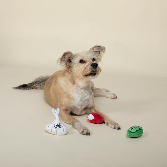 Fringe Studio Veggies Plush Dog Toy - Set of 3 Toys