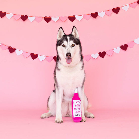 Fringe Studio Rope Plush Squeaker Valentine's Dog Toy -  Love You More Than Wine
