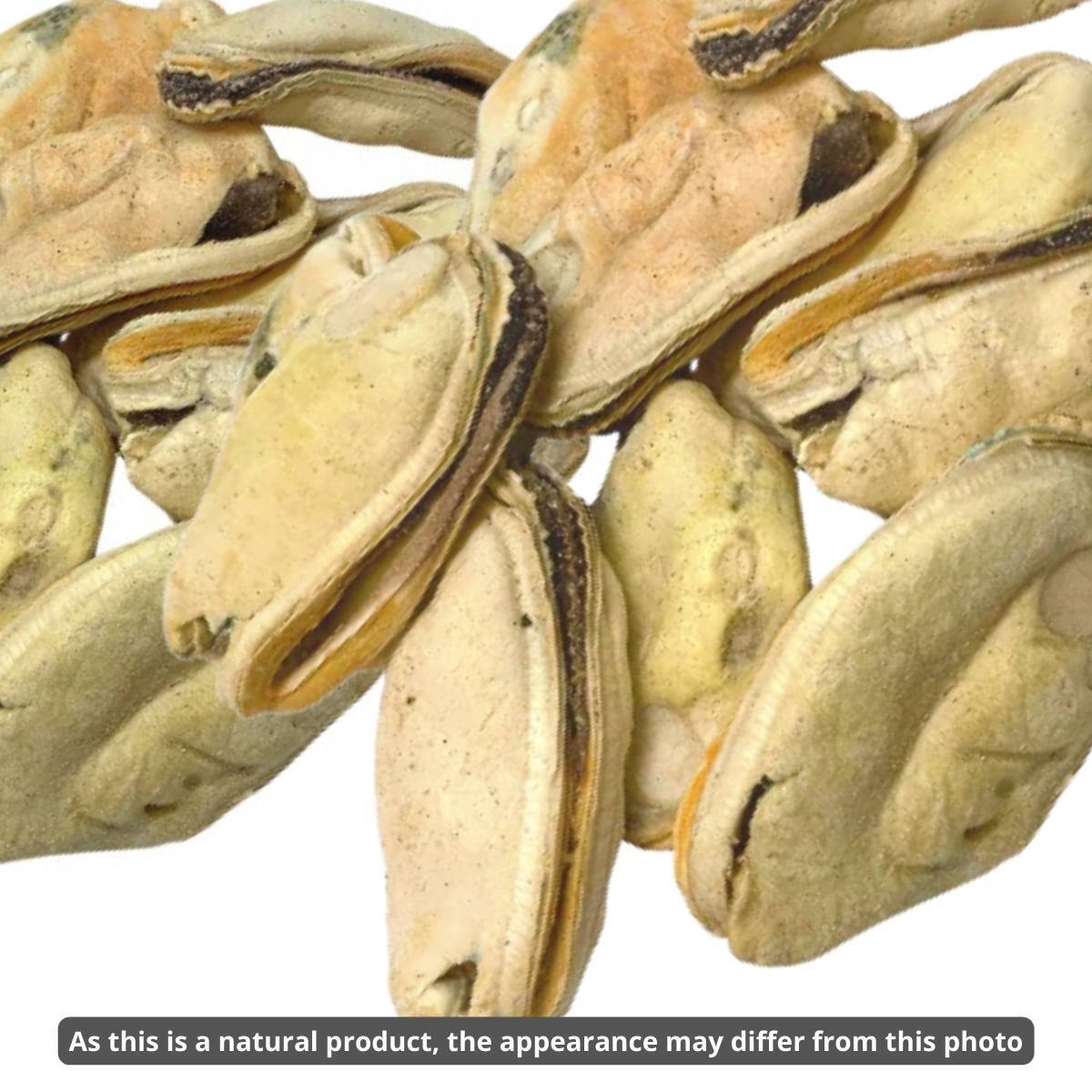Meaty Treaty Freeze Dried New Zealand Green Lipped Mussels Dog Treats