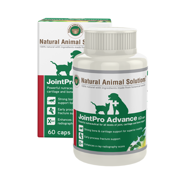 Jointpro Advance 60 Caps by Natural Animal Solutions