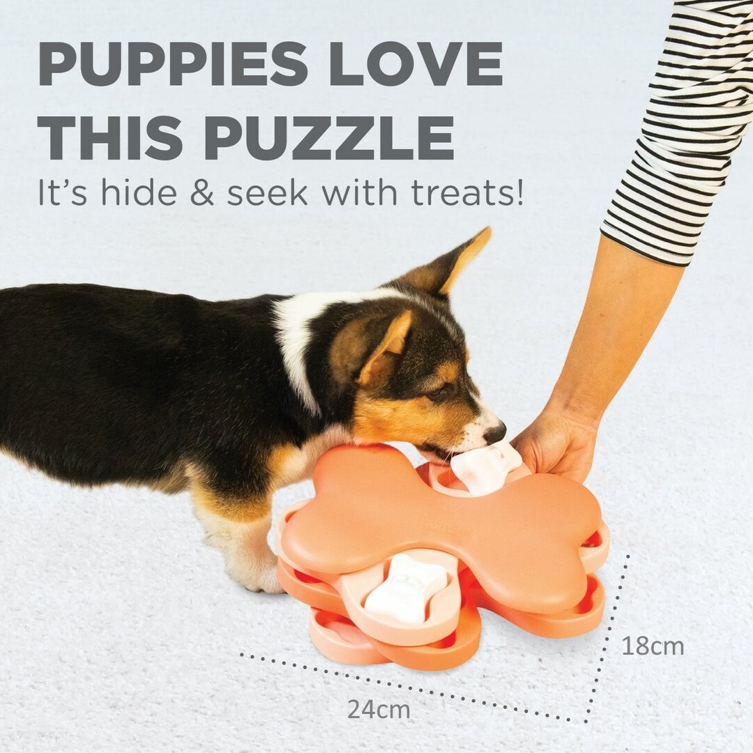 Nina Ottosson Tornado Interactive Puzzle Dog Toy for Puppies - Level 2