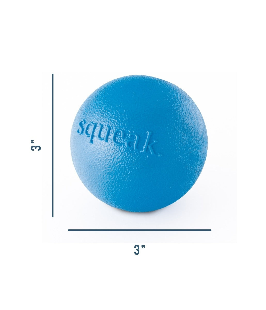 Planet Dog Orbee Tuff Fresh Breath Squeaker Fetch Ball for Dogs - Blue