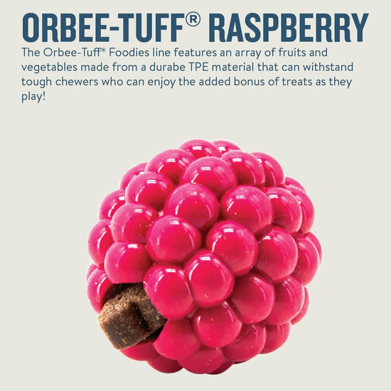 Planet Dog Orbee-Tuff Treat Dispensing Dog Toy - Raspberry