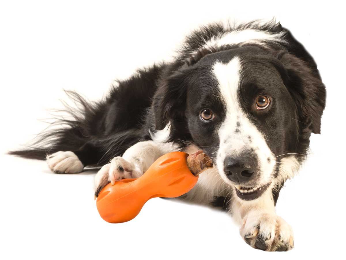West Paw Qwizl Treat Dispensing Dog Toy - Orange