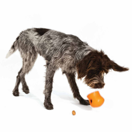 West Paw Toppl Treat Dispensing Dog Toy - Orange