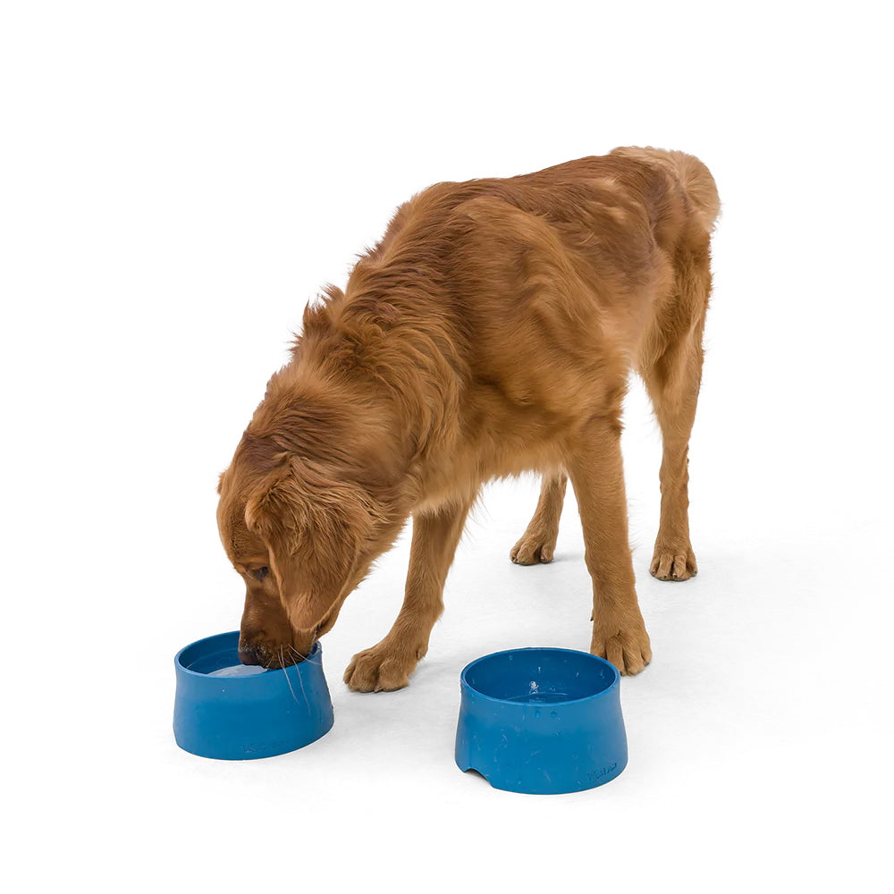 West Paw Seaflex Eco-Friendly Dog Bowl - Marine Blue