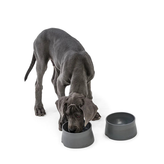 West Paw Seaflex Eco-Friendly Dog Bowl - Sea Fog Grey