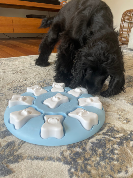 Interactive Dog Puzzle Game Toys - Dogs Smart Nina Ottosson by